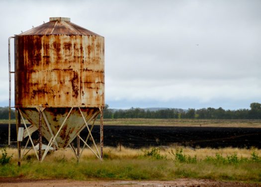 david-maunsell--XE9zwWQaKo-unsplash